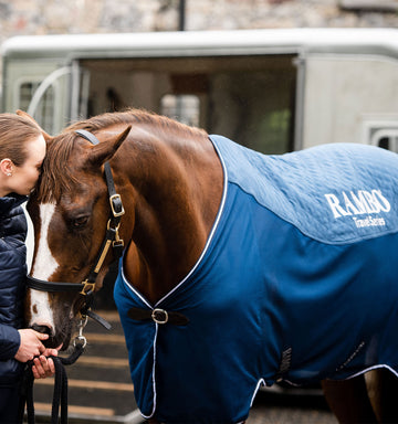 Horseware Ireland Rambo Travel Series (50g Lite)